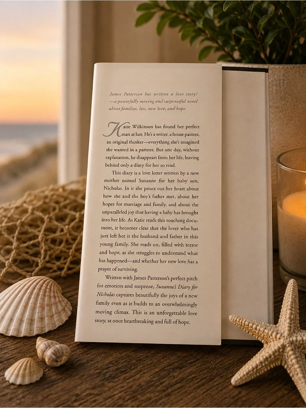 Suzanne’s Diary for Nicholas Hardcover James Patterson Romantic Drama Love Story